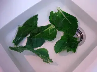 Salmón enrollado en hojas de acelga