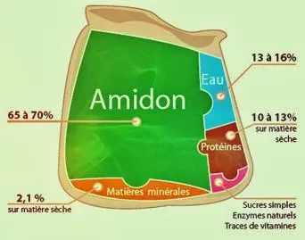 composición de la harina