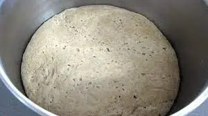 masa madre durar