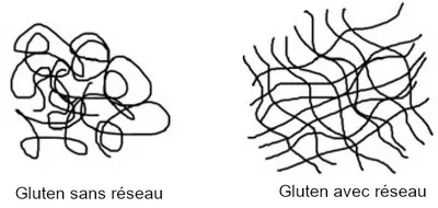 gluten red
