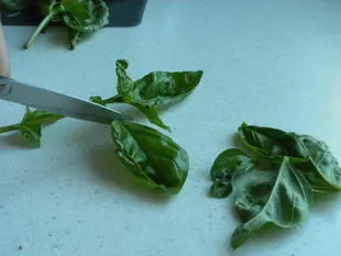 basilico
