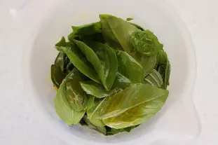 Pesto griego : Foto de la etapa2