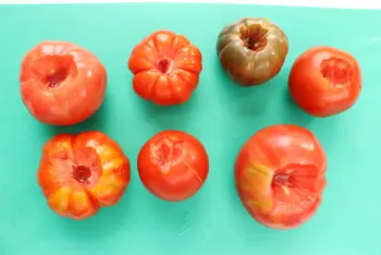 Salsa de tomate (con tomates frescos) : Foto de la etapa26