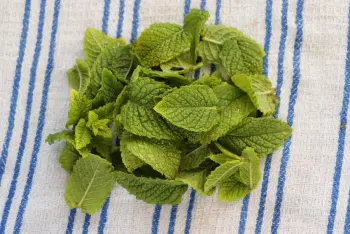 Pesto de menta y guisantes : Foto de la etapa26