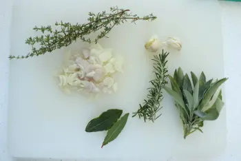 Salsa de tomate de fin de temporada : Etapa 3