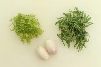 Mayonesa bearnesa : Etapa 2