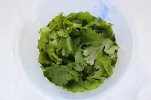 Pesto cilantro-nueces de acajú