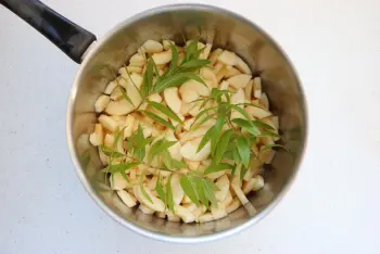 Compota de manzana con verbena : Etapa 2