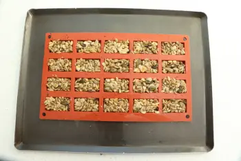 Galletitas de semillas : Etapa 3