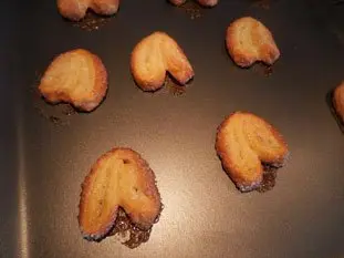 Mini palmeras : Foto de la etapa10