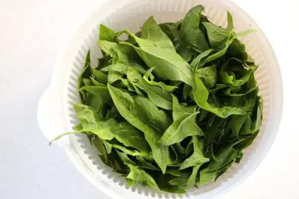 Puré de coliflor con salmón y espinacas