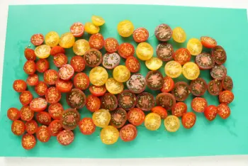 Judías verdes con crema de feta y tomates cherry