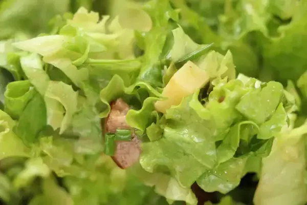 Ensalada "Jules Bonnot"