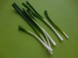 Ensalada de lombarda con cebolletas : Foto de la etapa7