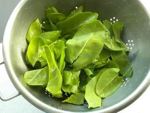 Sopa de acedera : Foto de la etapa2