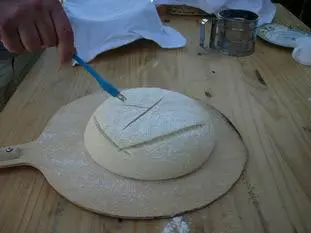 Hoja