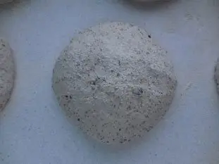 Pan de semillas : Foto de la etapa13