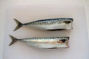 Rillettes de caballa : Foto de la etapa1