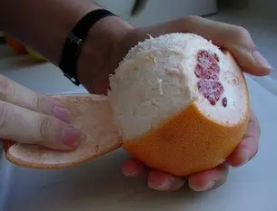 Como pelar una fruta al vivo : Foto de la etapa3
