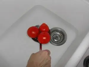 Cómo preparar los tomates : Foto de la etapa6