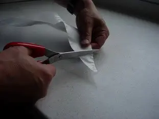Cómo utilizar bien la manga pastelera : Foto de la etapa5