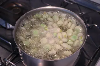 Cómo preparar las habas