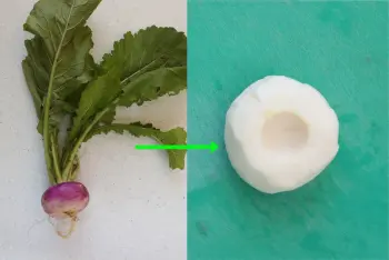 Cómo preparar los nabos