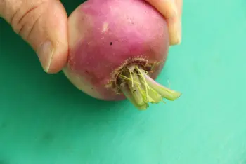 Cómo preparar los nabos