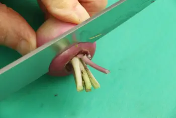 Cómo preparar los nabos