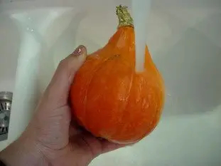 Cómo preparar una calabaza-potimarrón : Foto de la etapa1