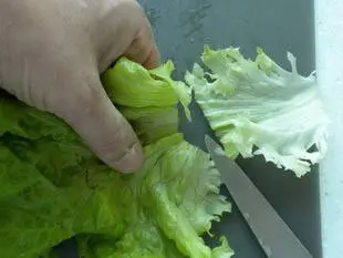 Como preparar una lechuga : Foto de la etapa4