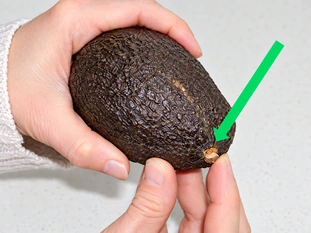 Cómo elegir un buen aguacate : Etapa 1