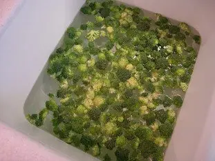Cómo preparar brócoli : Foto de la etapa26