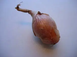 Como preparar una cebolla o un chalote : Foto de la etapa1