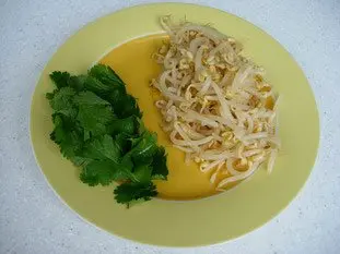 Pollo estilo chino : Foto de la etapa6