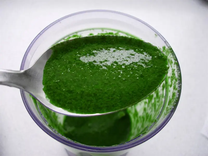 Salsa verde de perejil