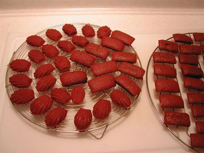 Magadalenas de chocolate