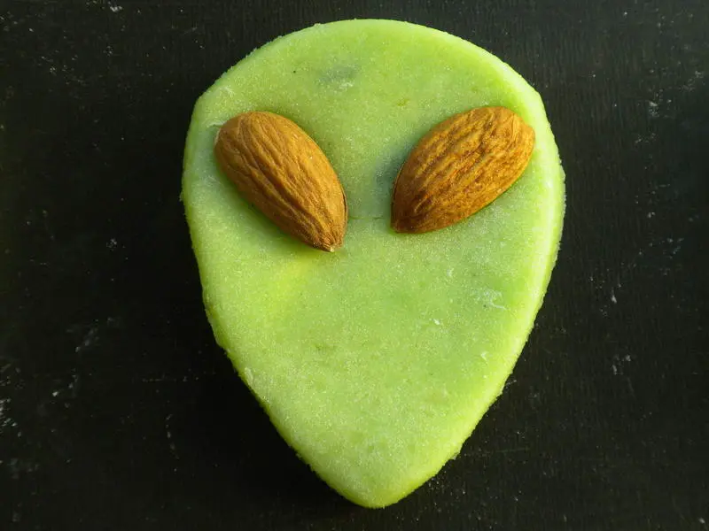 Galletas de Expediente X