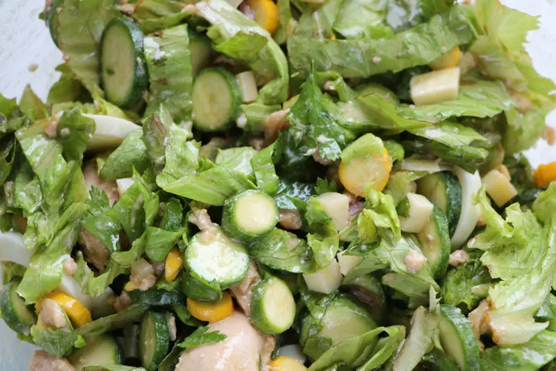 Ensalada surtida de primavera 
