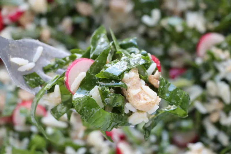 Ensalada de arroz y espinaca fresca