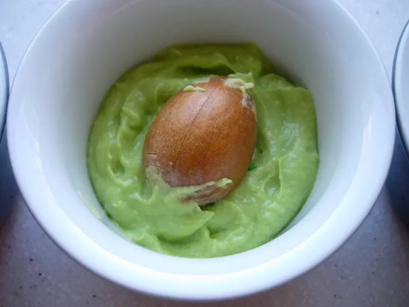 El hueso del aguacate evita el ennegrecimiento