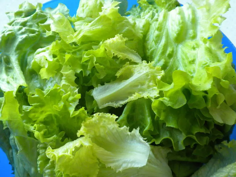 Como preparar una lechuga