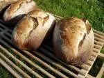 Pan de masa madre