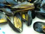 Mejillones a la marinera