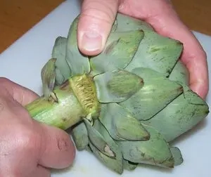 El píe de las alcachofas