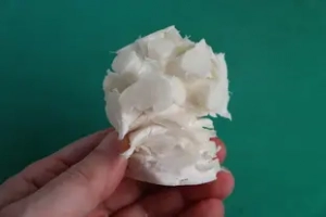 La  "médula" de la coliflor
