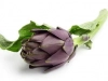 Alcachofa violeta