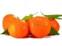 clementinas o mandarina