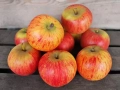 Manzana