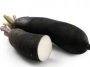 rábanos negro